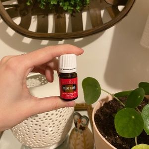 YL Ylang Ylang essential oil